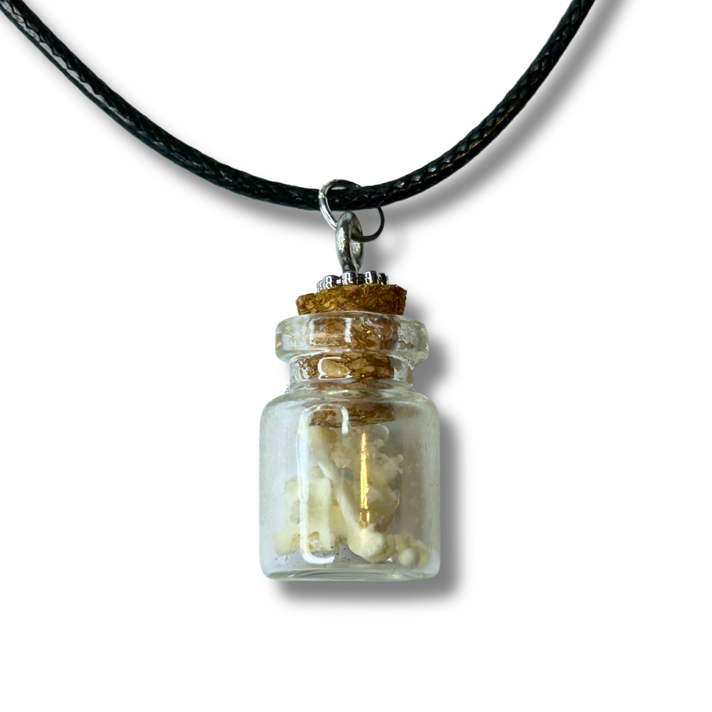 Mole Bones - Jar Pendant