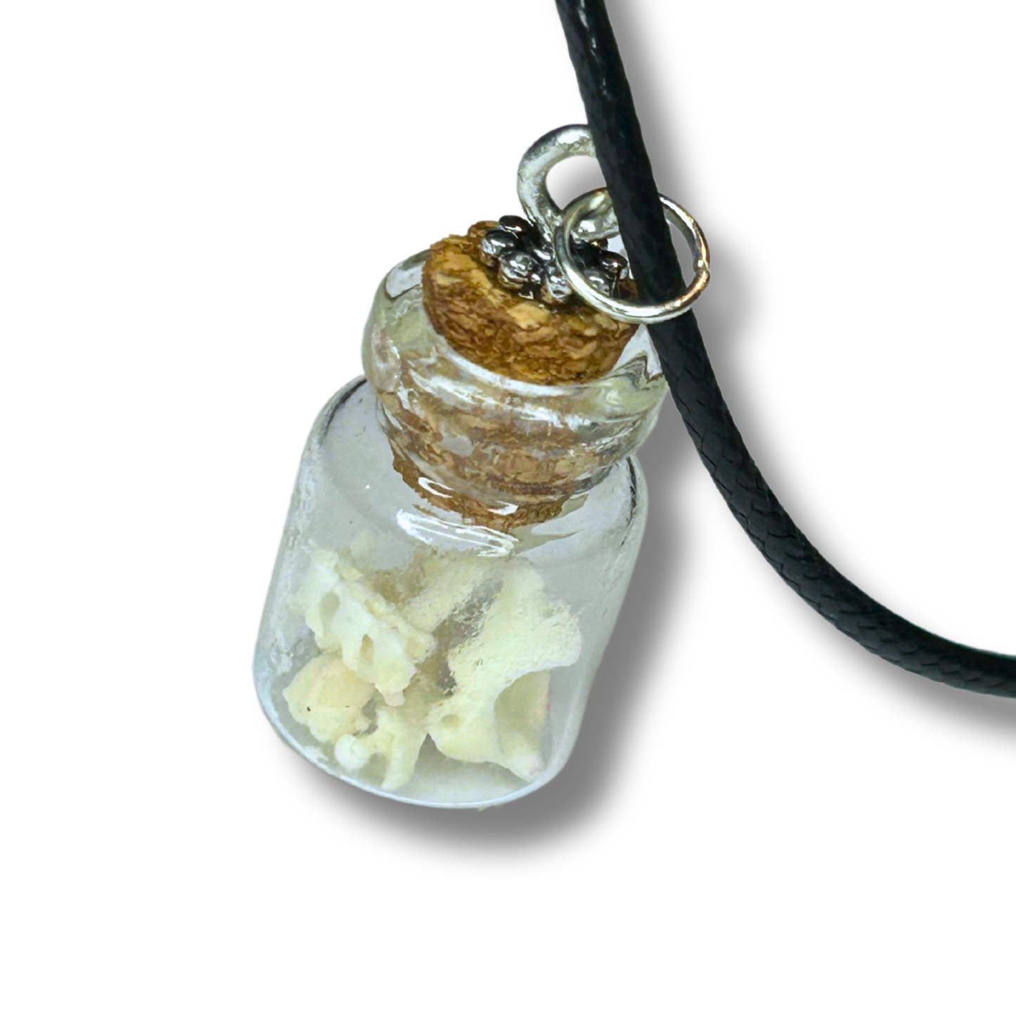 Mole Bones - Jar Pendant